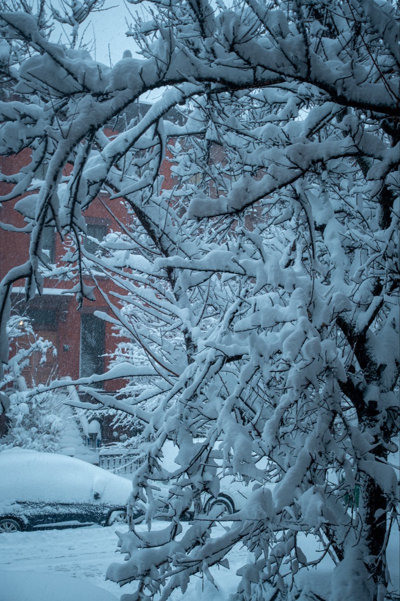 paris martineau tweet media