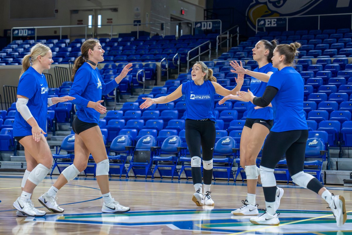 FGCU Volleyball tweet media