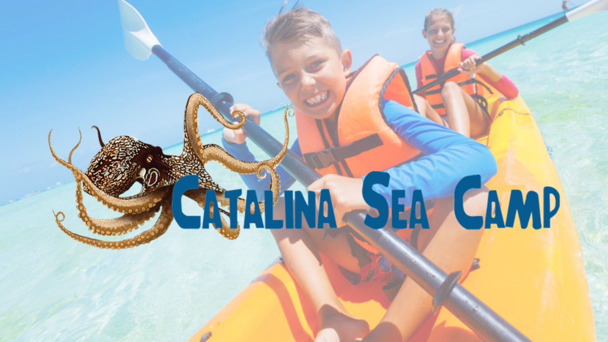 Environmental Career Opportunities (ECO) tweet media