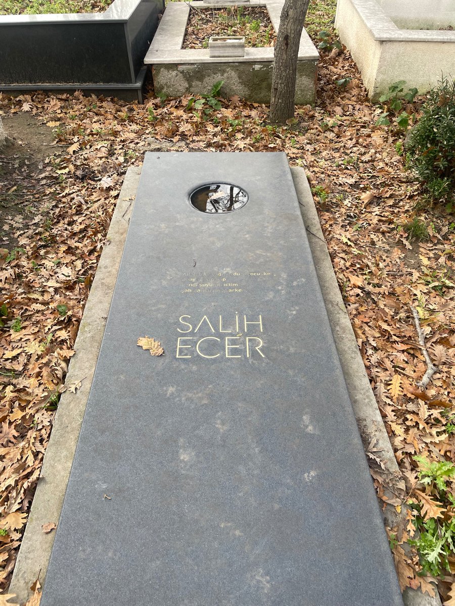 sedef ecer tweet media