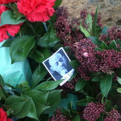 sedef ecer tweet media