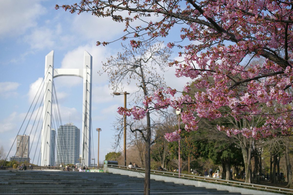 m780335's tweet photo. 投稿お久しぶりです！

2月22日
少し早いかわづ桜の撮影会でした🌸

やっぱりポートレートは楽しい！
スタジオとはまた違う雰囲気��、公園を回りながらいろいろなお話しできてすごく楽しかったです☺️

モデルさんとも、カメラマンさんとも
少し早い春を堪能できました🌷

最後のお写真は私が撮ったよ💓 https://t.co/gz5XMbaLZe