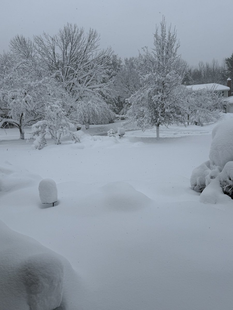 Juliec5271's tweet photo. @MikeFOX29 @AlexHolleyFOX29 @FOX29philly my parents sent me this from Princeton New Jersey. https://t.co/Lmz9Cc9W0B