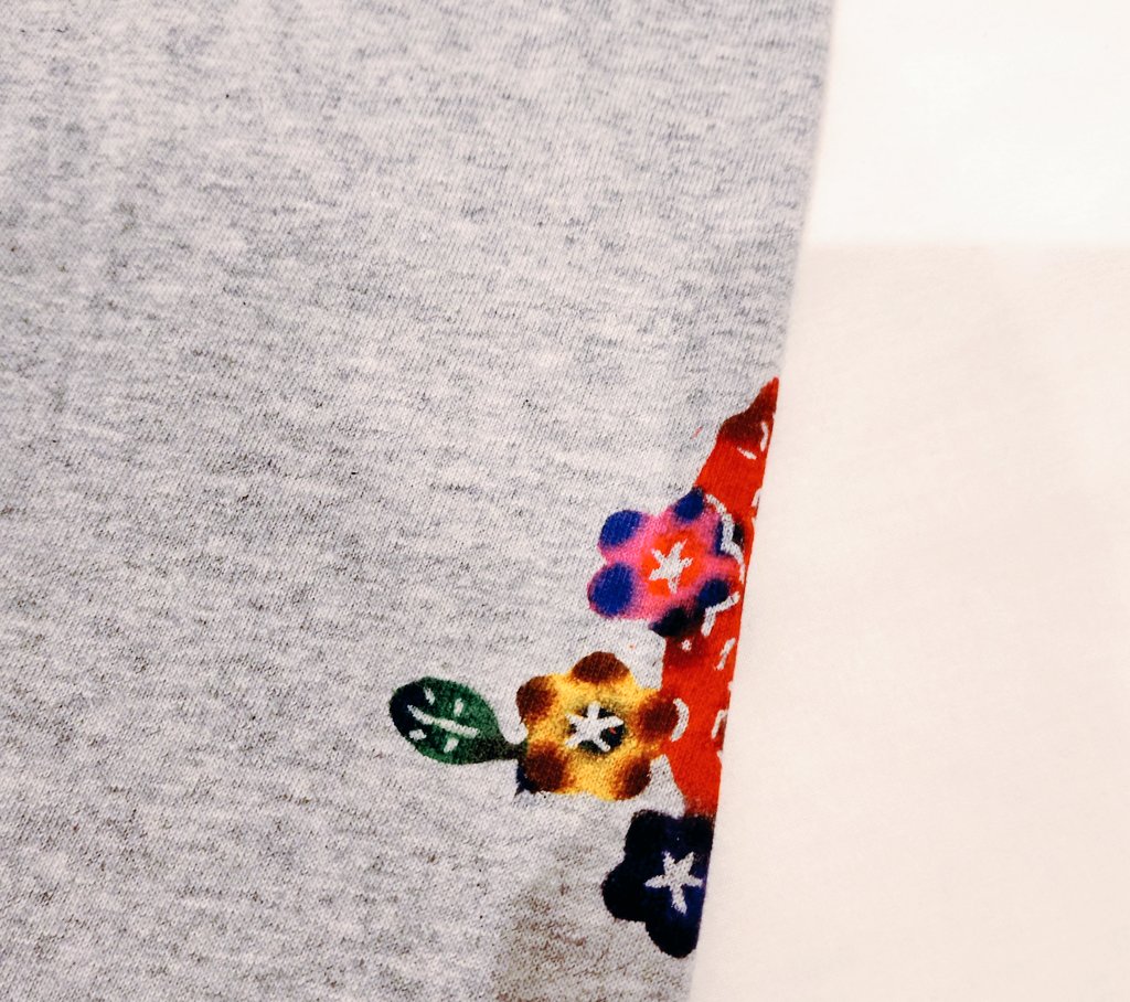 諦めたくなくて「園子園子展」最終日行ってきた。 写真や印刷物を見て