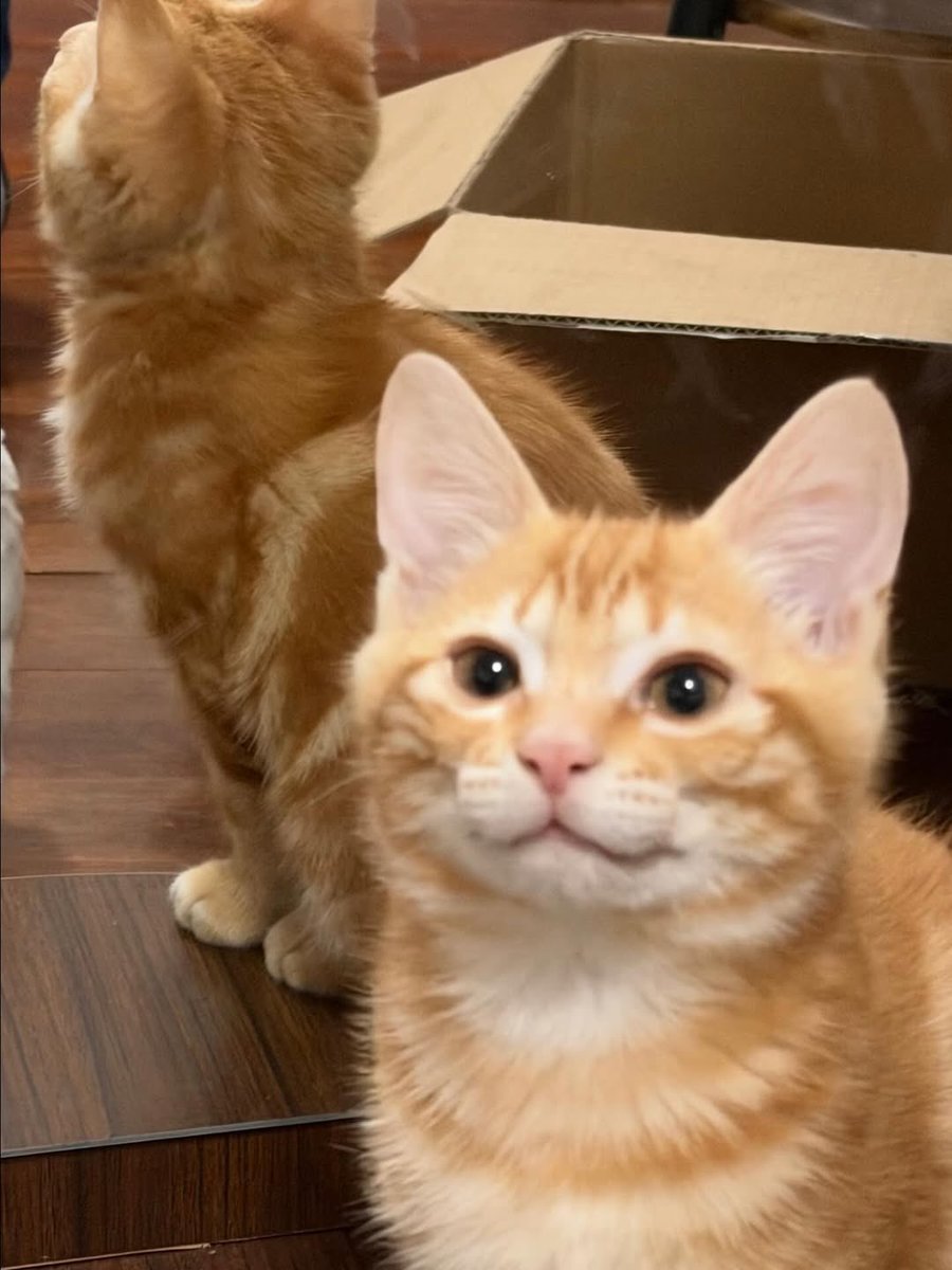 i_y_leeknow's tweet image. (◕ܫ◕)