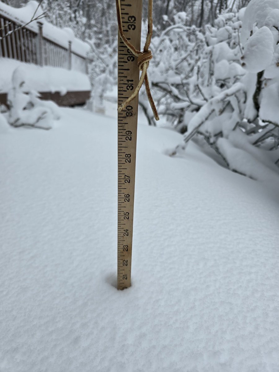 Anthony B tweet media