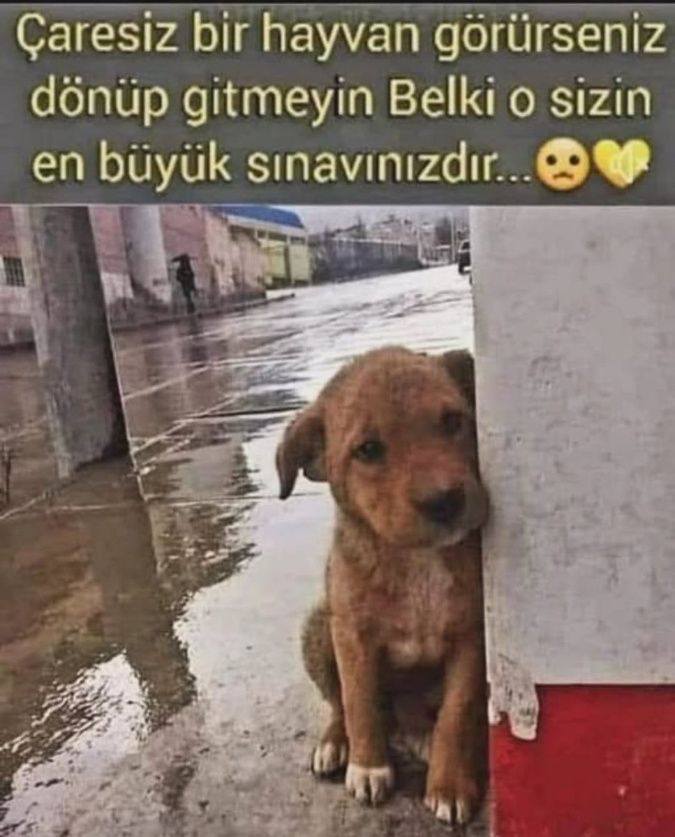 <a href="/ayse0zer/">Ayşe Özer</a> <a href="/EsenyurtBLDYS/">Esenyurt Belediyesi</a>