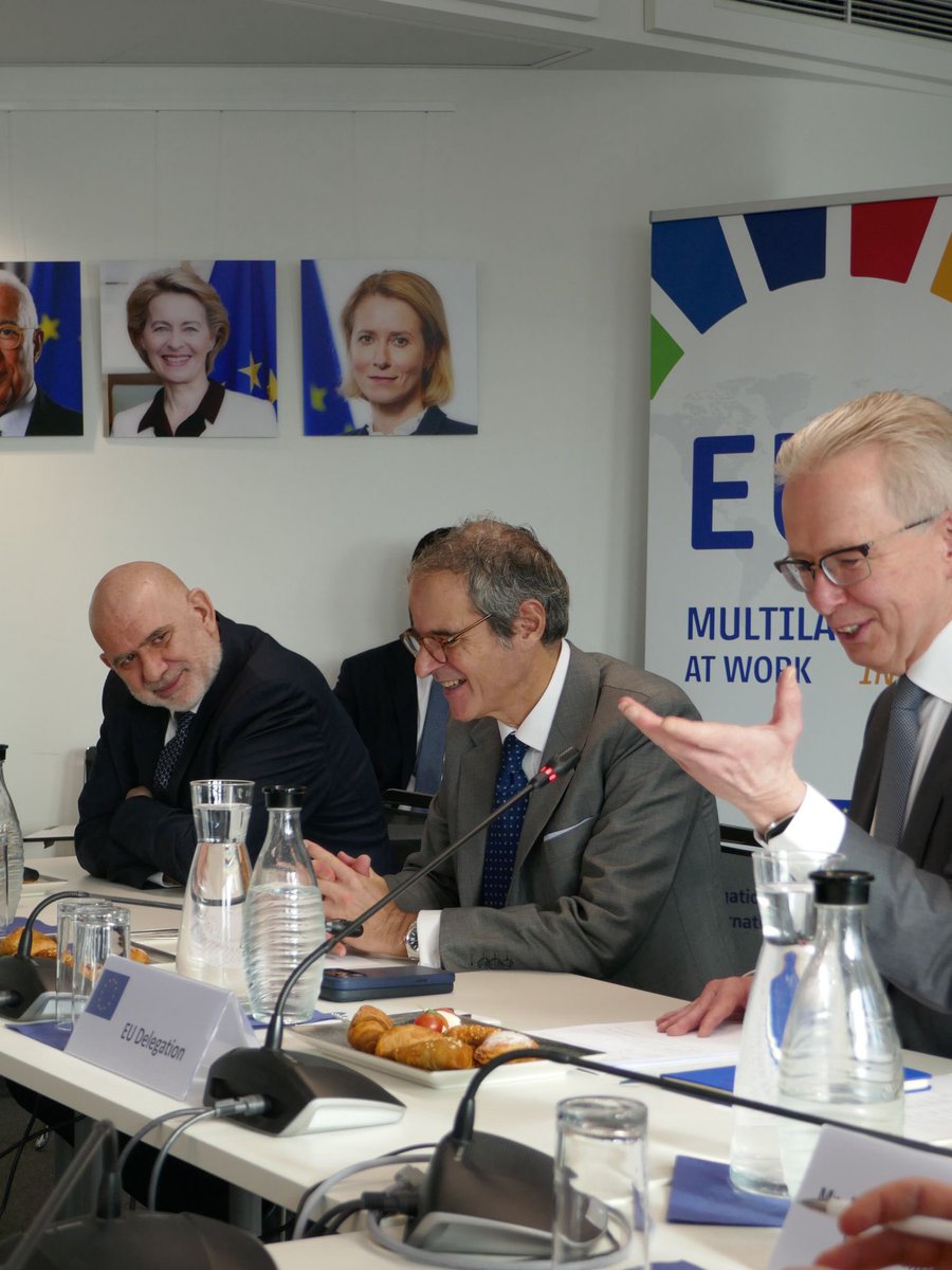 EU Ambassador Carl Hallergard 🇪🇺🇺🇳 tweet media