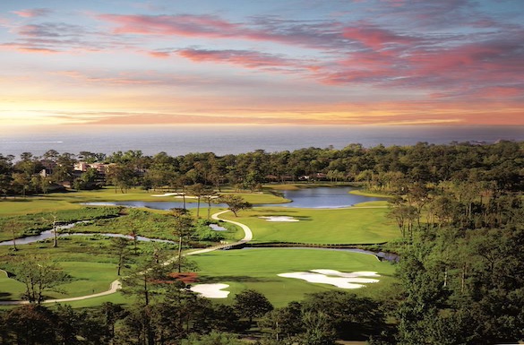 Marriott Golf tweet media