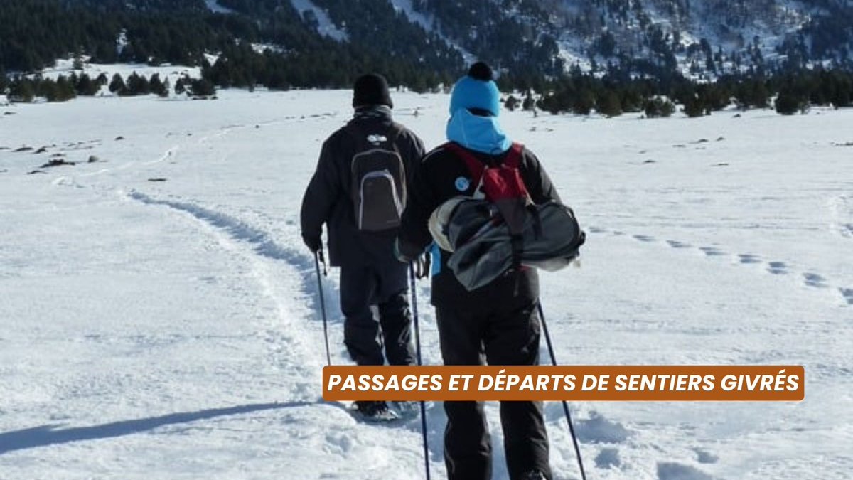 ❄Altiservice ⛷🏂 tweet media