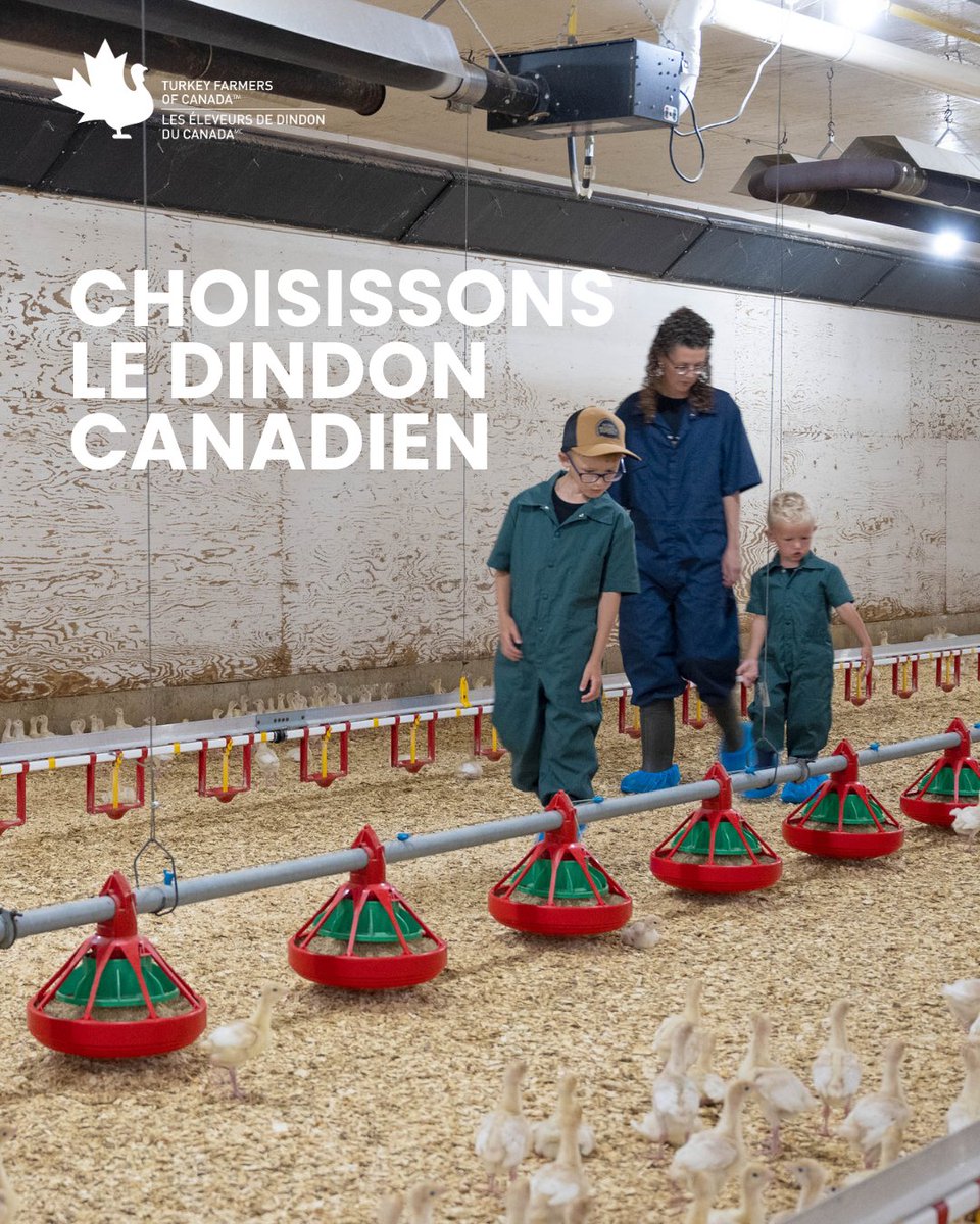 Turkey Farmers of Canada tweet media