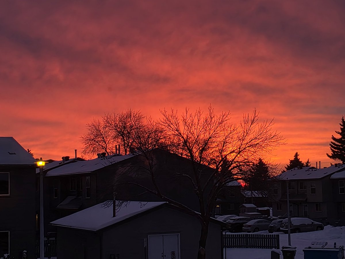 Paige Matlock tweet media