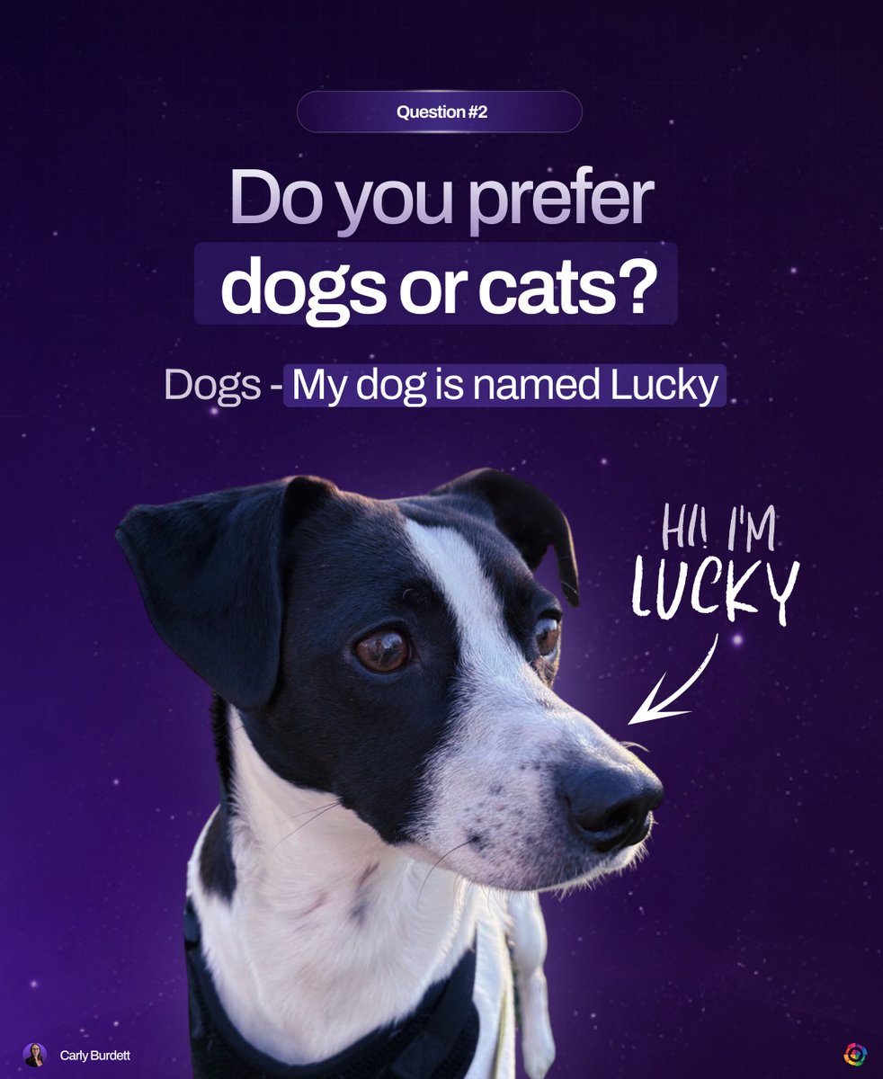 Huemor Designs tweet media