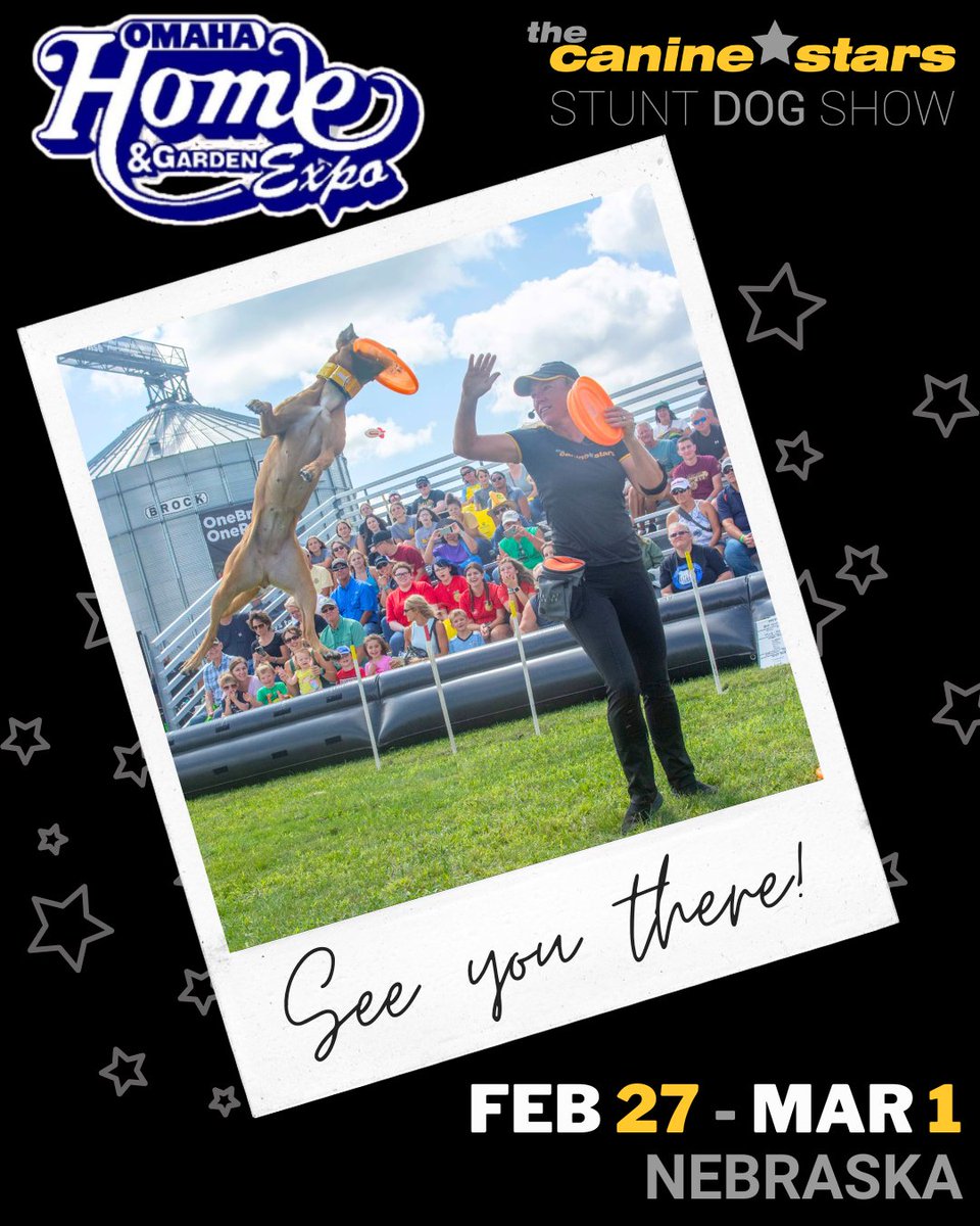 The Canine Stars tweet media