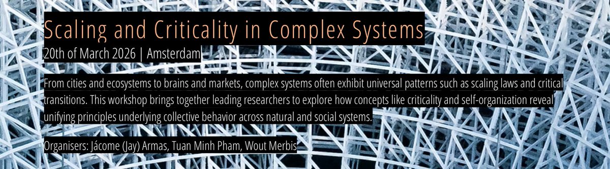Dutch Institute for Emergent Phenomena tweet media