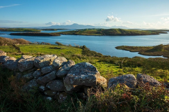 Mayo PPN tweet media