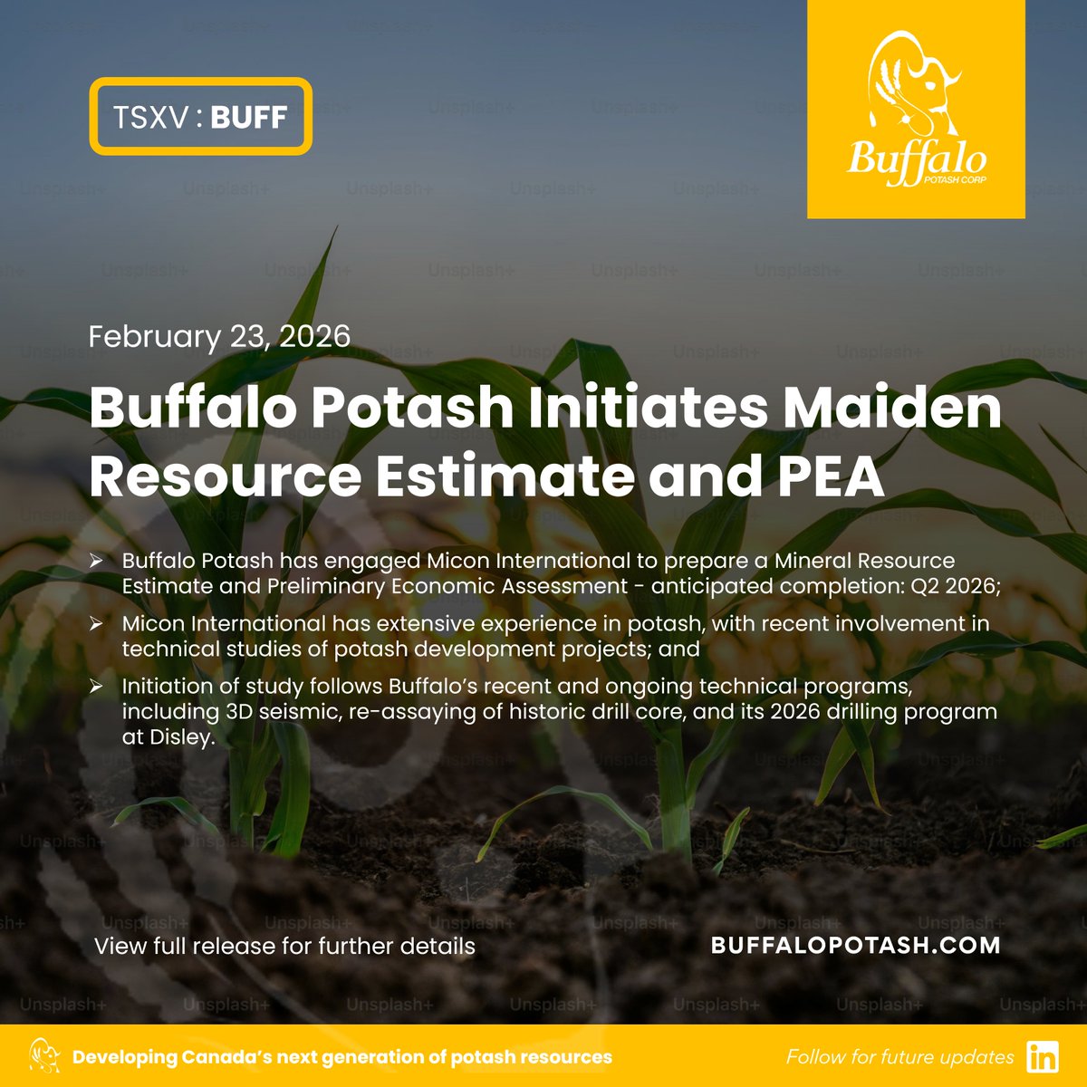 Buffalo Potash Corp (TSXV: BUFF) tweet media