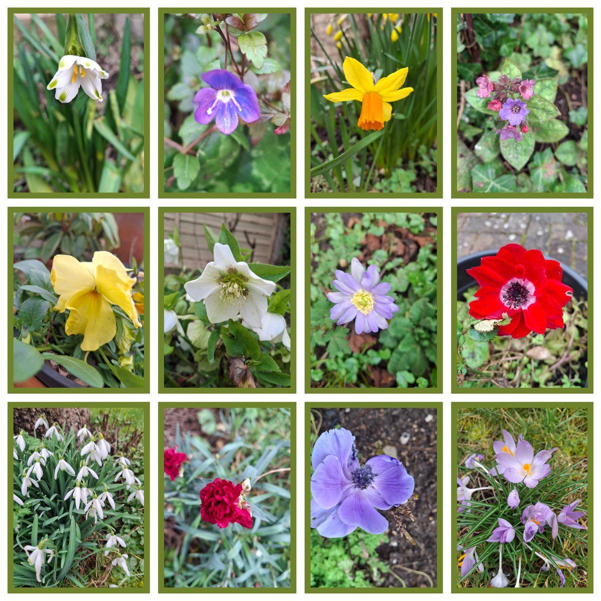 Clare Foster tweet media