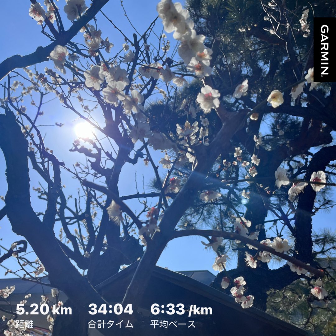 asamisan0305's tweet photo. 夜の会食のために🏃‍♀️ 

 #Day1104 https://t.co/GIQhHjmr2v