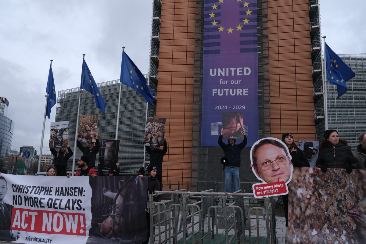 23 febbraio, Bruxelles: siamo in AZIONE!

Chiediamo all’Unione Europea di smettere una volta e per tutte con ritardi e scuse: vogliamo una revisione della legislazione sul benessere animale e la vogliamo ORA.
Le grida degli animali costretti negli allevamenti intensivi risuonano