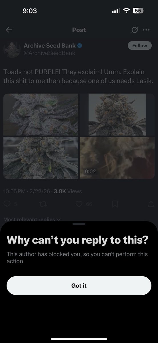 Joeys Baked tweet media