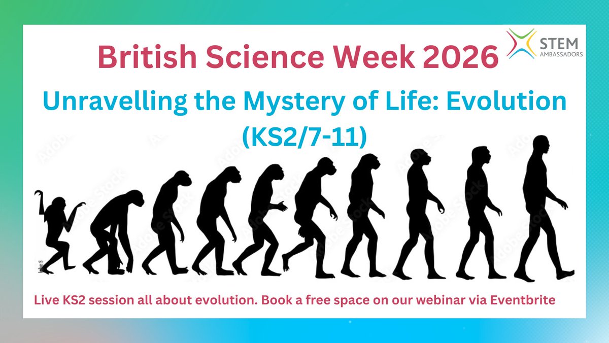 STEM Ambassadors London tweet media