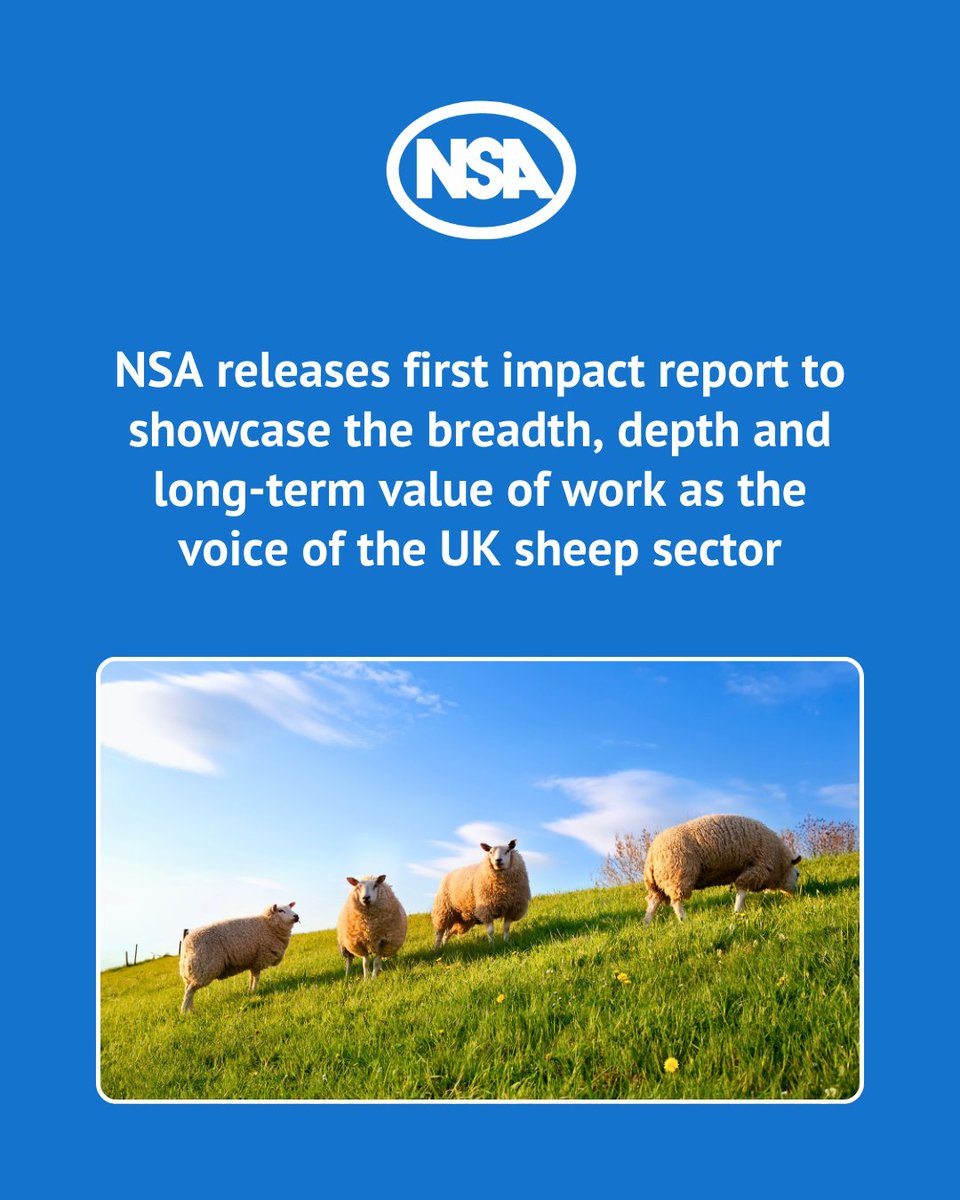 National Sheep Association tweet media