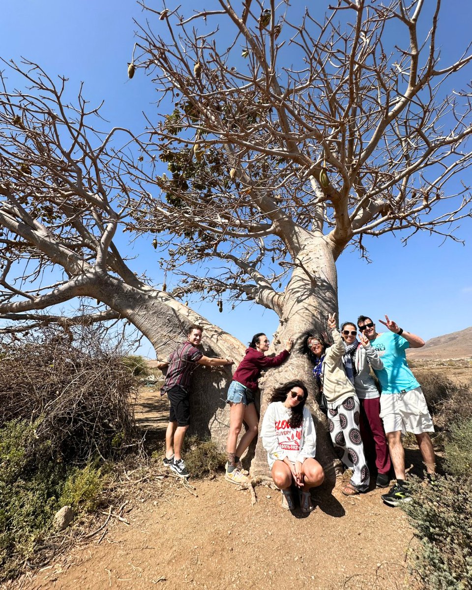 Evolution Travel tweet media