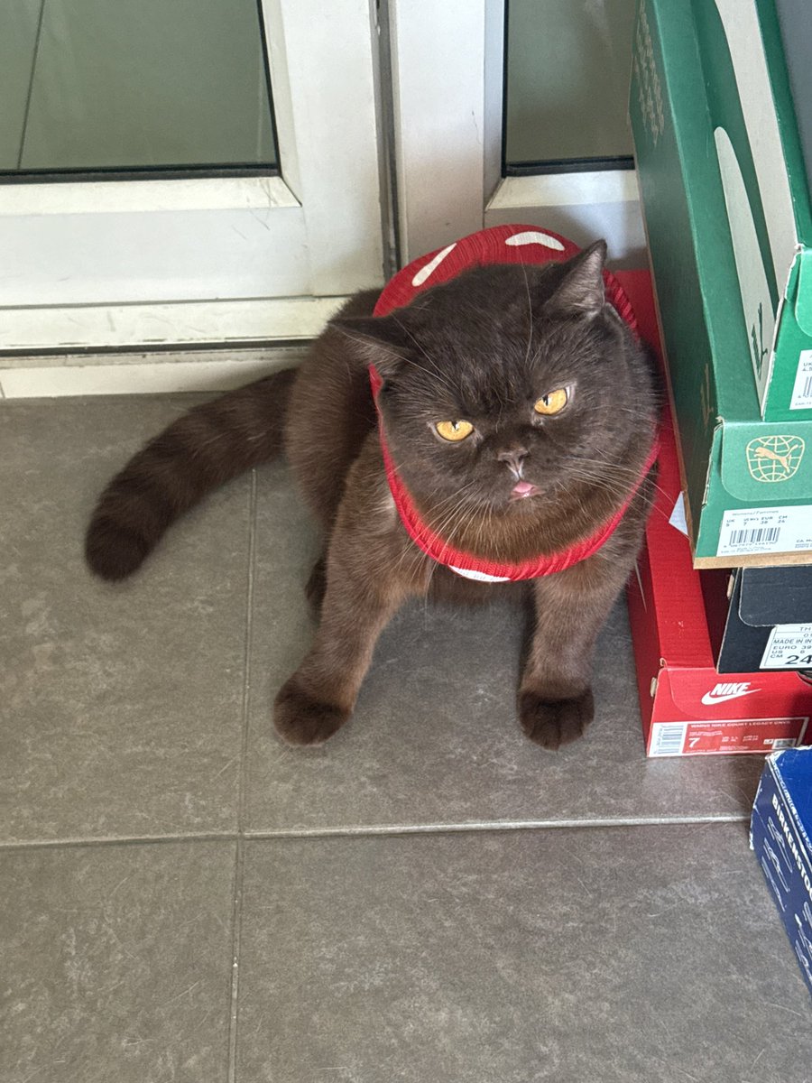 มองอะไรจ้ะ