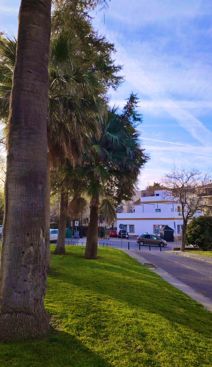 ATiendeQ tweet media