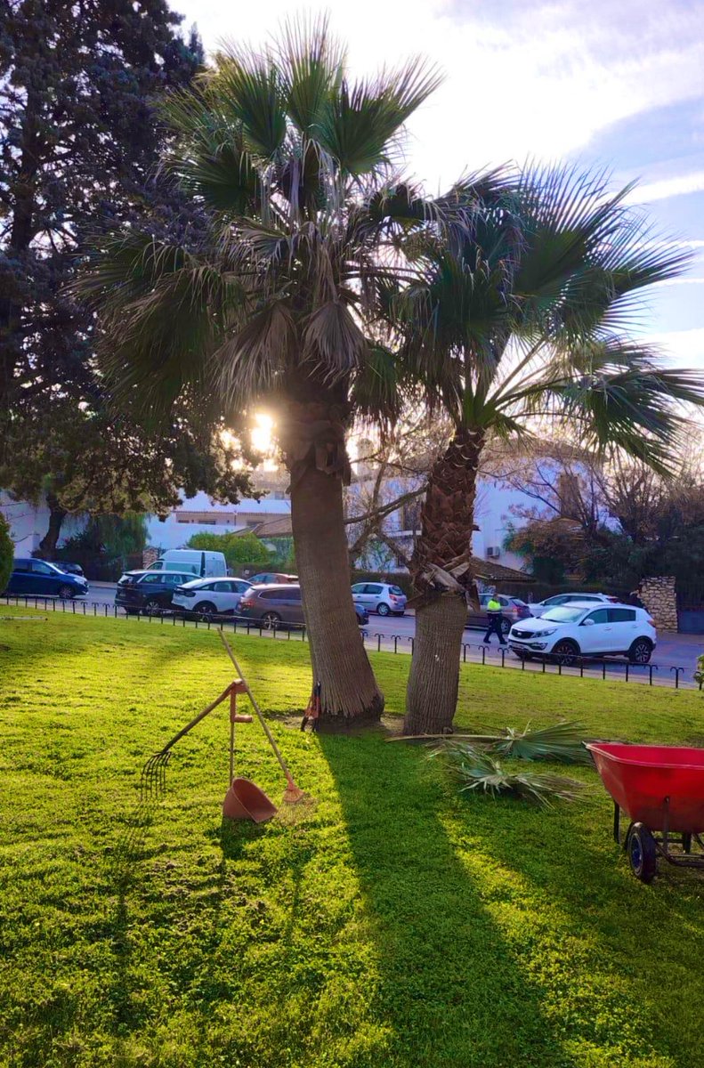 ATiendeQ tweet media