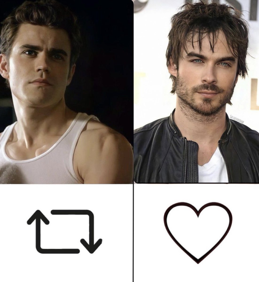 Stefan                       or                            Damon ?