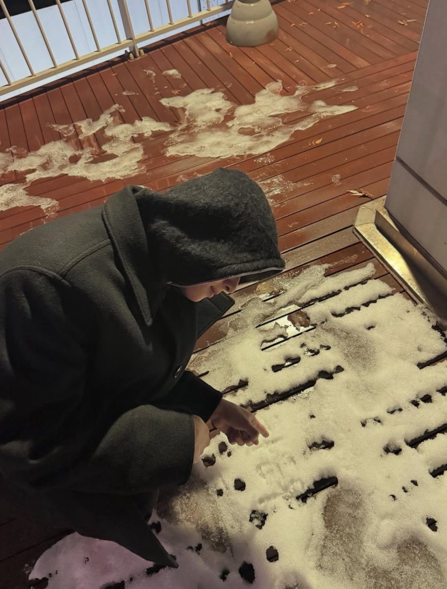 누누봉봉🧸🐾 tweet media