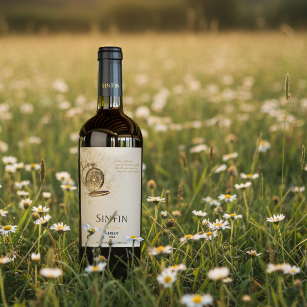 Bodega SINFIN tweet media