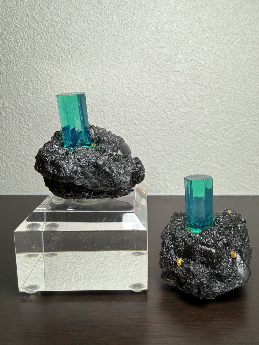 Tom (@tomtourmaline) / Posts / X