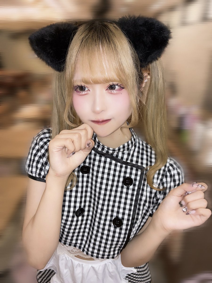 Post by なり🖤めいどりーみん on X: ねこ