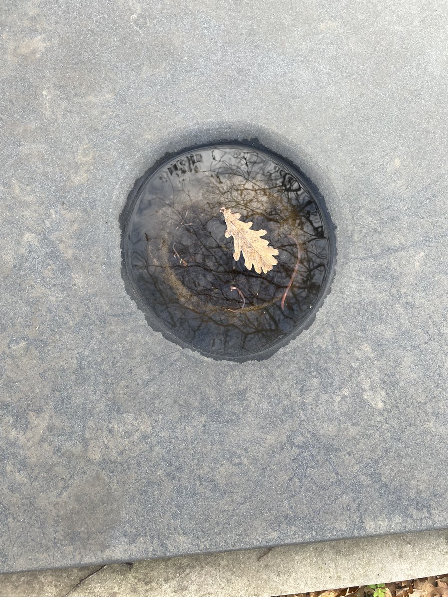 sedef ecer tweet media