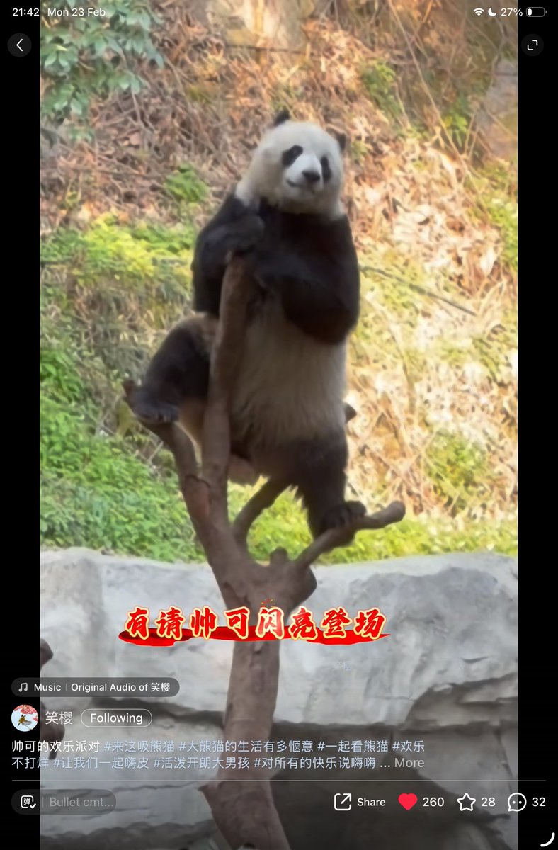 zhensheng1092's tweet photo. หนุ่มน้อยอวี๋เข่อของพวกเราเริ่มมีซีนเท่ ๆ แล้วค่ะ
โพสท่าเท่แบบนี้ บอกเลยว่าต่อไปอาจเป็นคู่แข่งคนสำคัญของหนุ่มปักกิ่ง ถ้ากิ่งไม้ตรงเท้าซ้ายไม่หักไปซะก่อนนะคะ😅
Cr xhs 笑樱
#yuke #渝可 https://t.co/ME6xSAiPv7