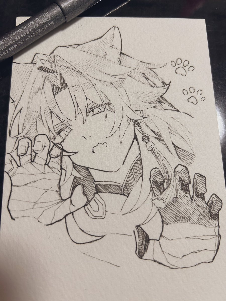 アナログにゃー🐱