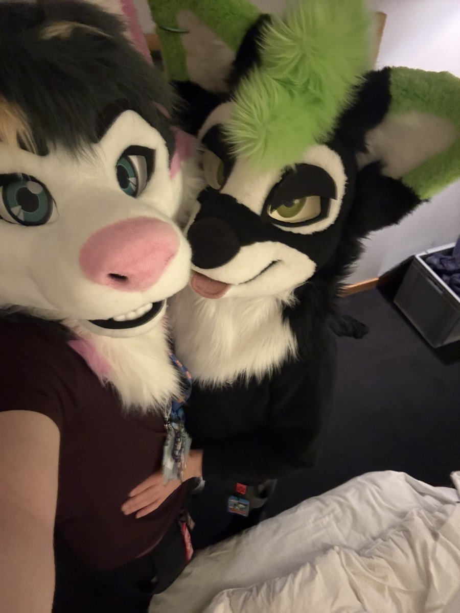 Alwa 🔜 CFz,EF tweet media