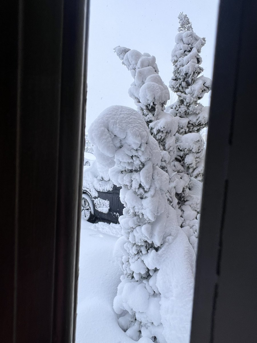 ChaosComesUndone tweet media