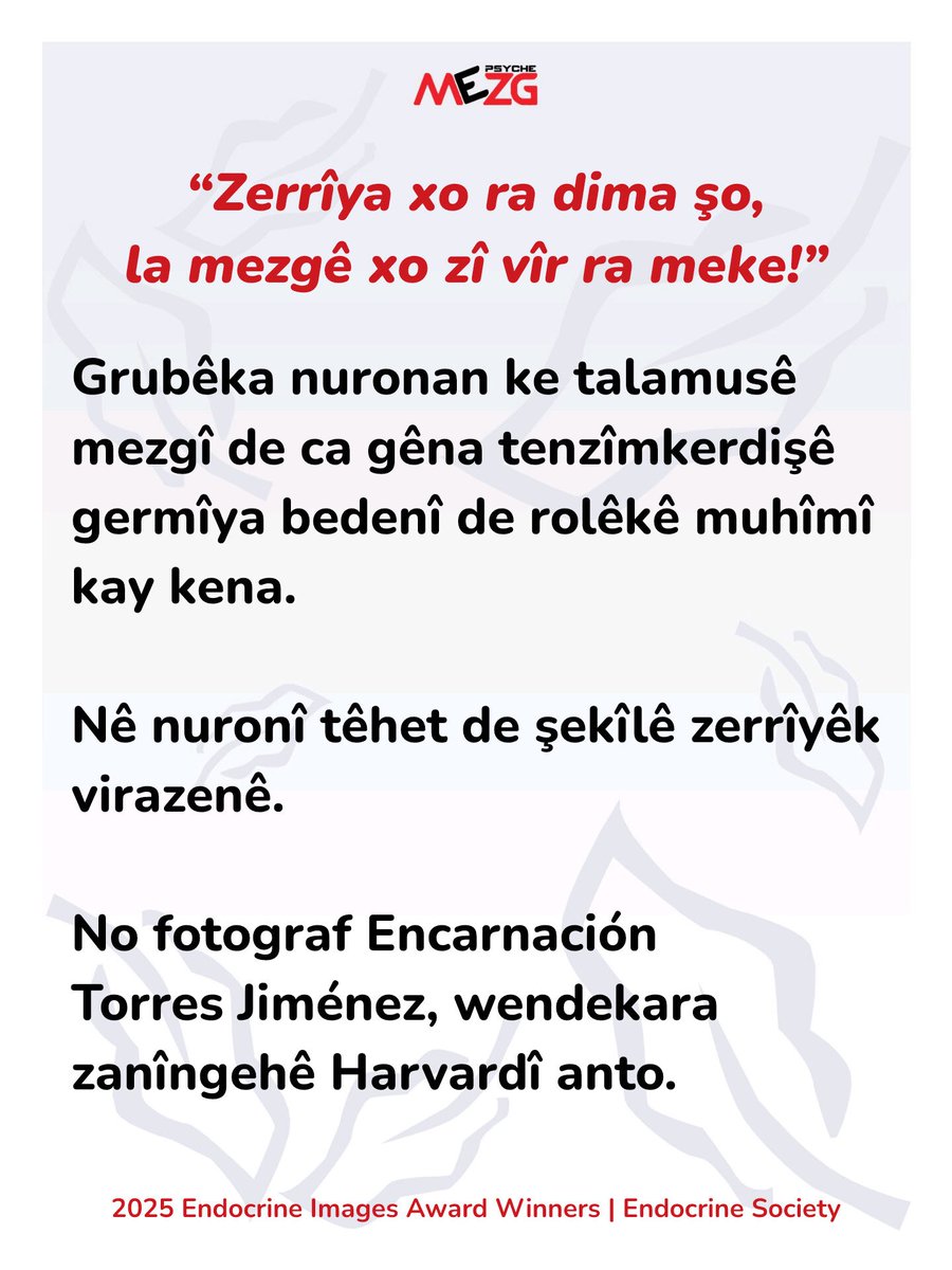 Psyche:Mezg tweet media