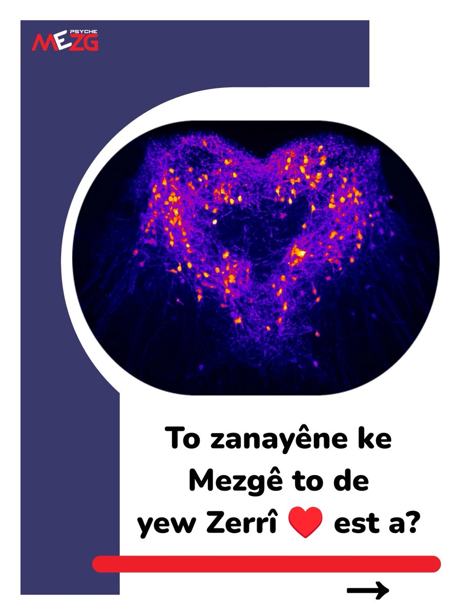 Psyche:Mezg tweet media