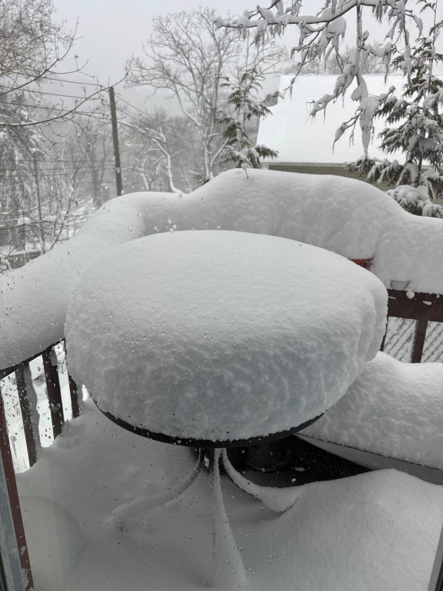 @mbalter — investigations and commentary tweet media