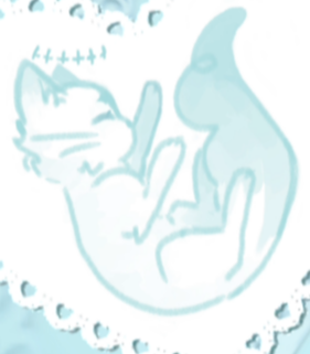 Amber_flicker's tweet photo. More cats https://t.co/RikqTkqc8M