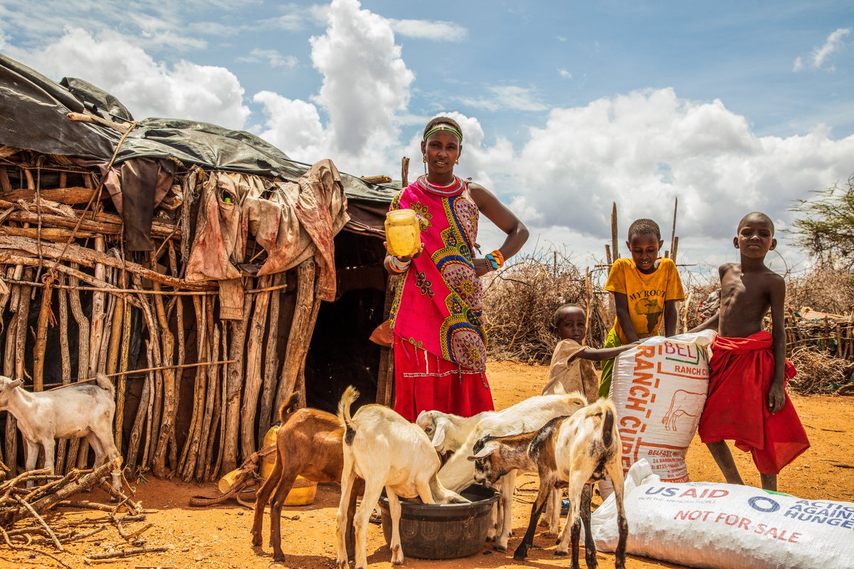 MFAN News tweet media