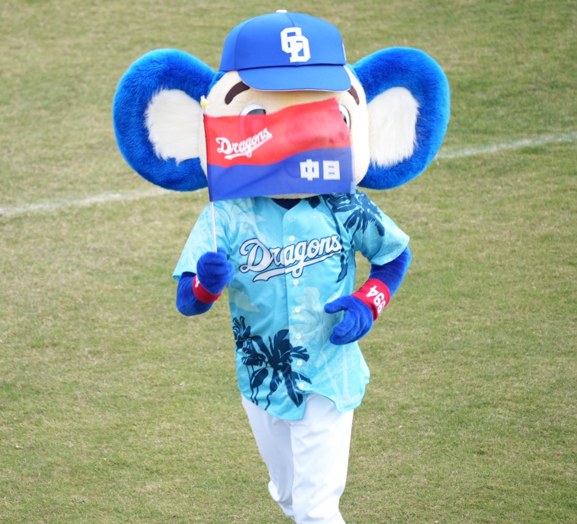 きれいにかぶってしまった🚩🐨 ラッキーセブン #ドアラ 2026.02.23