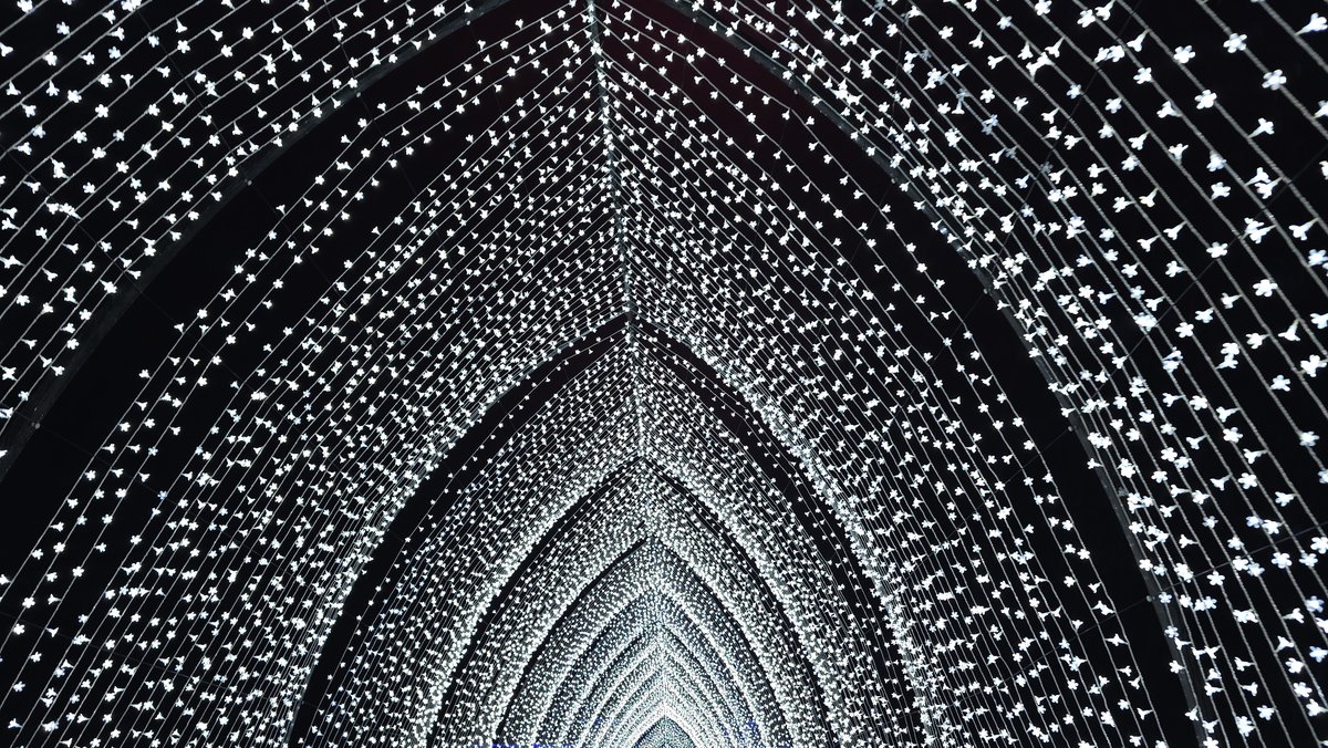 Cambridge Edition tweet media