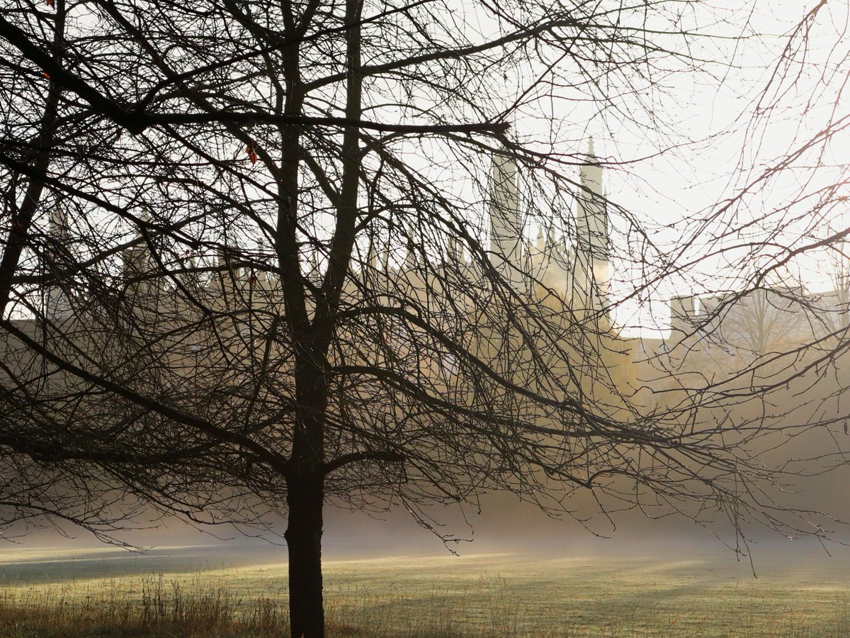 Cambridge Edition tweet media