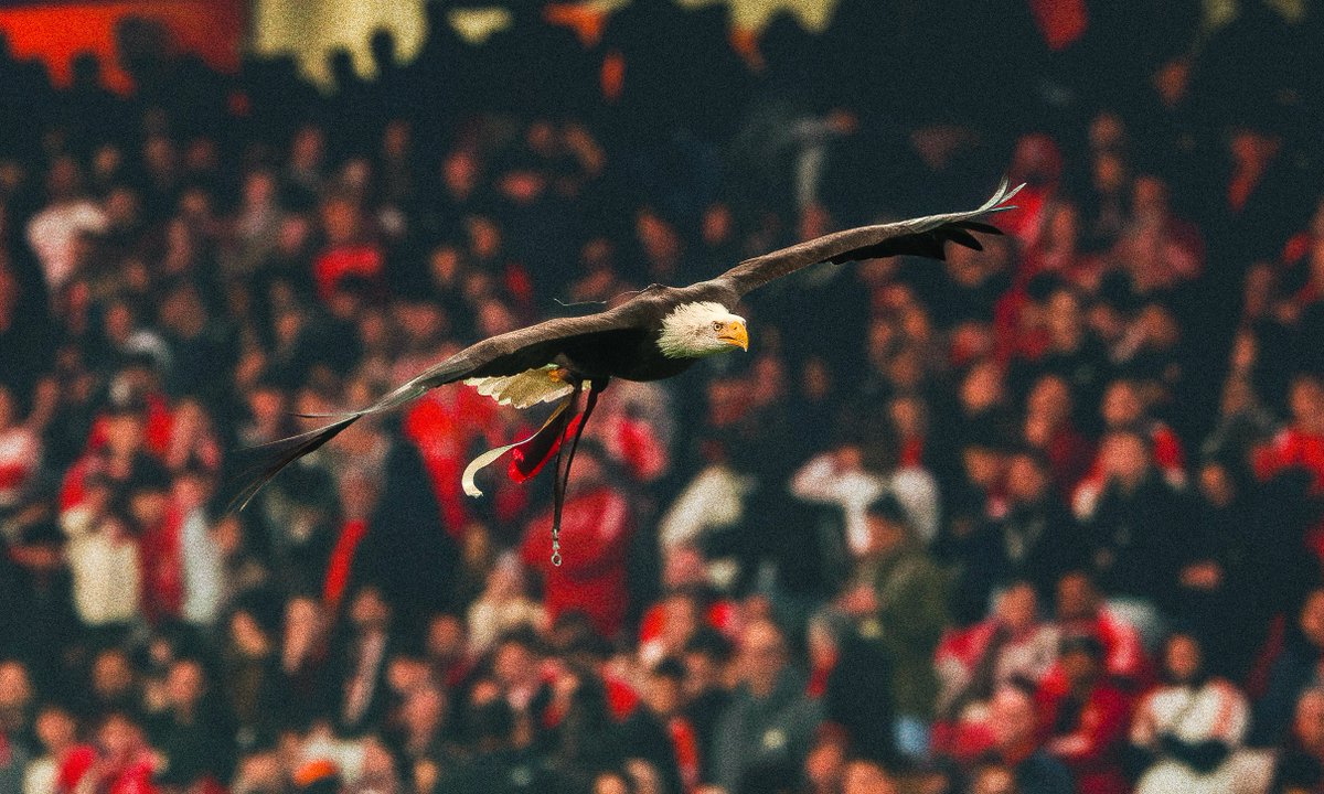 Foot Mercato tweet media